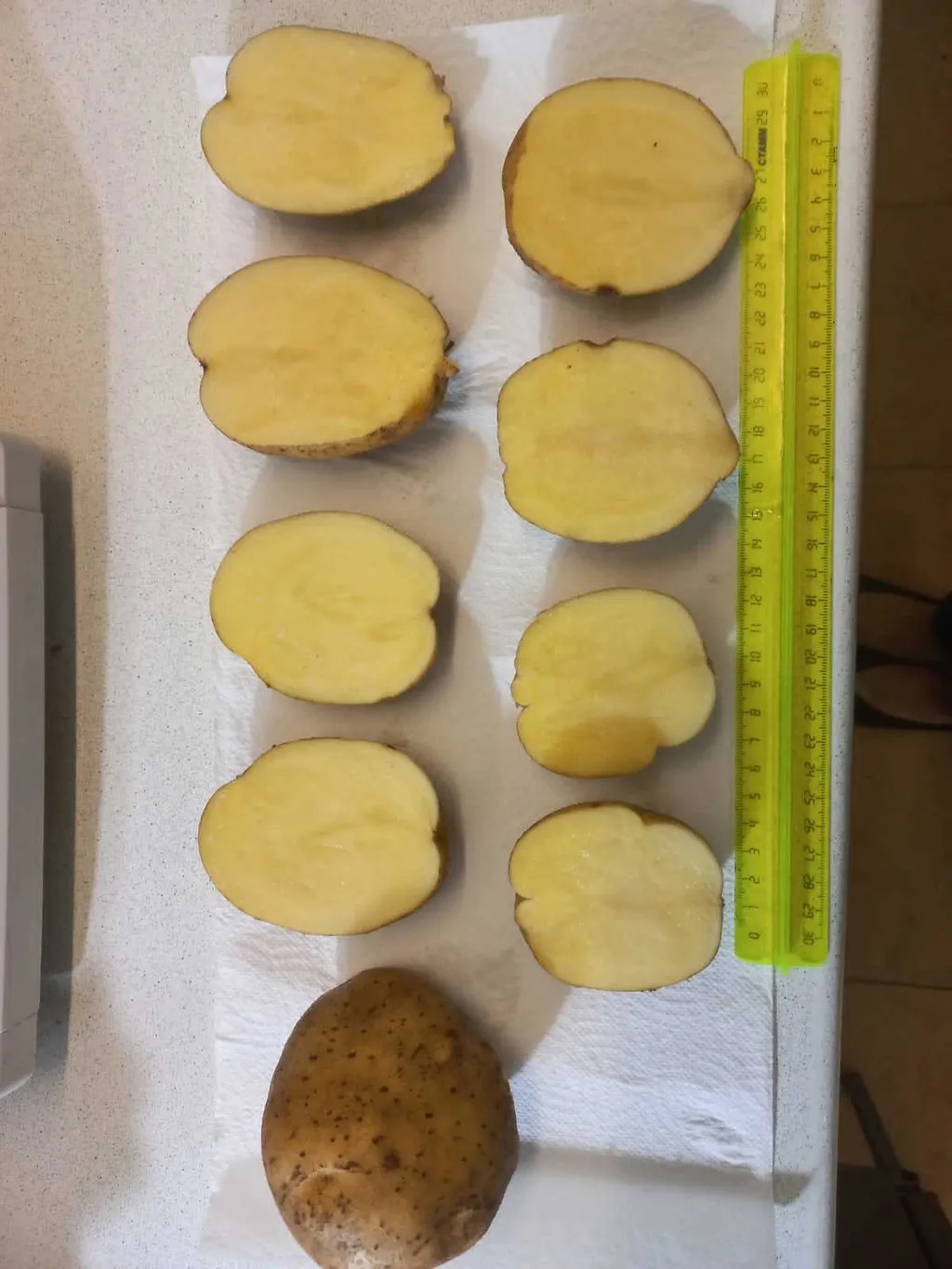 реализуем картофель  в Владимире и Владимирской области 2